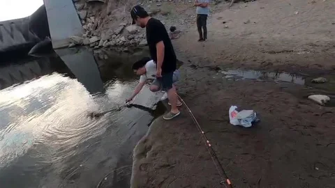 Dev Turna Balığı Kaçtı Edirne'de