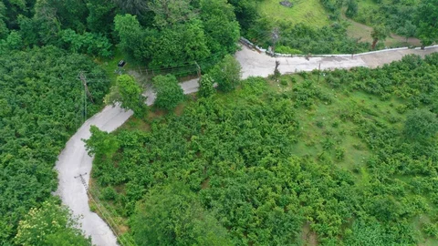 Ordu'da Beton Yol Projesi Başladı