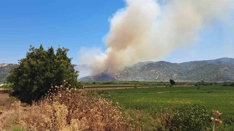 Söke'de Zirai Yangın Çalışmaları Devam Ediyor