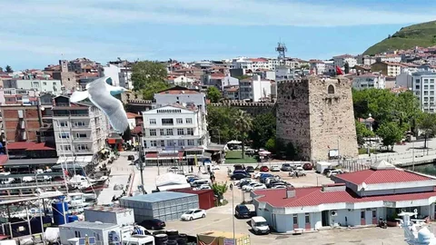 Sinop’ta Araç Sayısı 87 Bin 412'ye Ulaştı