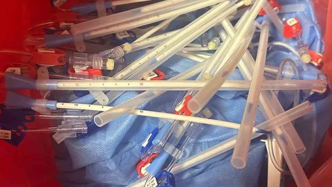 Kahramanmaraş'ta Sterilizasyon İddiası Gelişmesi