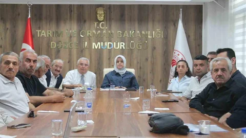 Düzce'de Fındık Rekolte Tahminleri Değerlendirildi