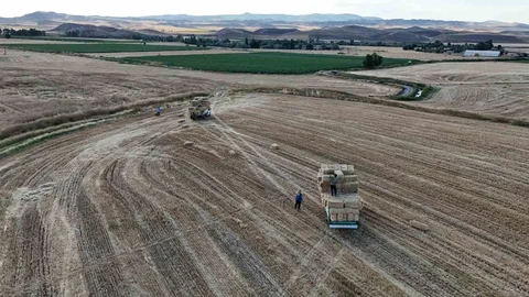 Yozgat'ta Balya Mesaisi Başladı