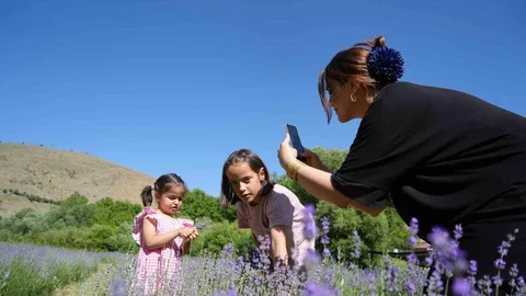 Erzincan'da Lavanta Bahçesi İlgi Görüyor