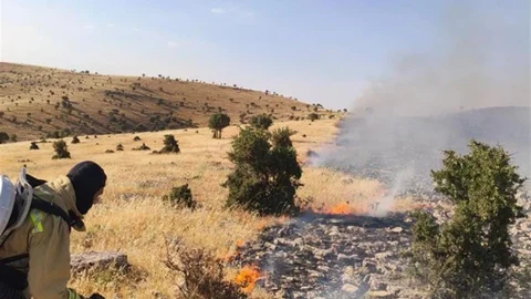 Mardin'de Anız Yangını Kontrol Altına Alındı