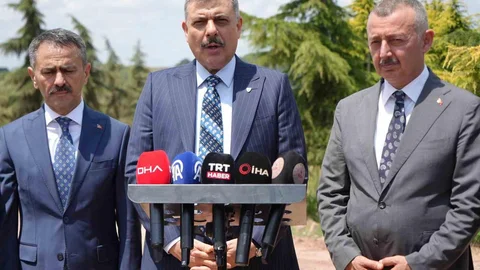 Kocaeli'de Sokak Hayvanları İçin Önemli Gelişmeler