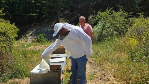 Afyonkarahisar'da Arıcılık Kayıt Sistemi Güncelleniyor