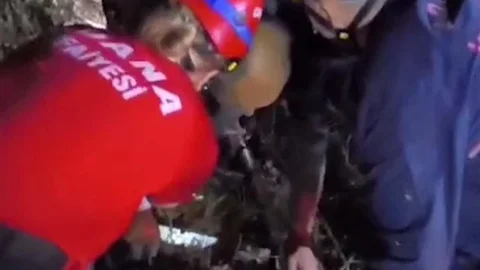 Adana'da Ormanlık Alanda Mahsur Kalan Kişi Kurtarıldı