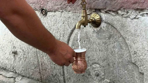 Düzce'de Ayran Kutlaması Yapıldı