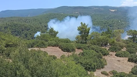 Çine'de Orman Yangını Kontrol Altına Alındı