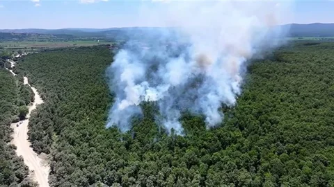 İstanbul Çatalca'da Orman Yangını Kontrol Altına Alındı