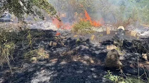 Bitlis'te Peş Peşe Yangınlar Çıktı