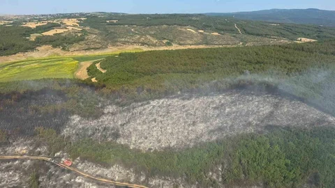Tekirdağ'da Orman Yangını Kontrol Altına Alındı