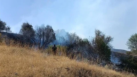Malatya'da Orman Yangını Kontrol Altına Alındı