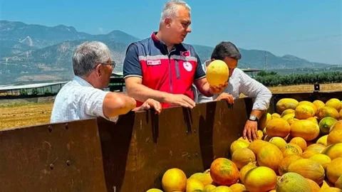 Kırıkhan Kavununda Hasat Devam Ediyor