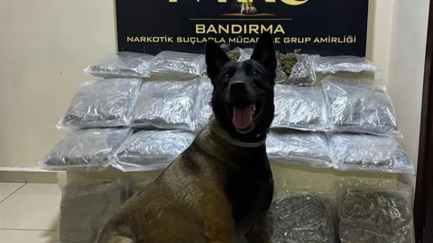Bandırma'da Uyuşturucu Operasyonu