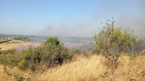 Balıkesir'de Arazi Yangını Kontrol Altına Alındı