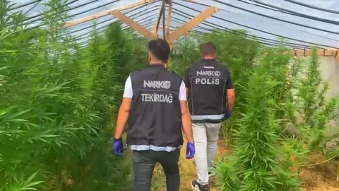 Tekirdağ'da Narkotik Operasyonu Yapıldı