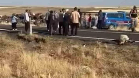 Siverek'te Minibüs Koyun Sürüsüne Çarptı