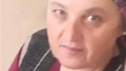 Zonguldak'ta Eşek Arısı Saldırısı Sonucu Ölüm
