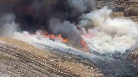 Mardin'de Ot Yangını Kontrol Altına Alındı