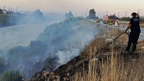 Antakya'da Asi Nehri Kenarında Yangın
