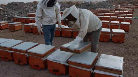 Adıyaman'da 2026 Yılı Bal Fiyatları Açıklandı