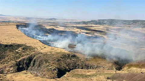 Seyitgazi'de Yangına Havadan ve Karadan Müdahale