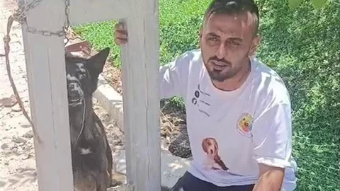 Hatay'da Belçika Kurdu Vahşice Öldürüldü