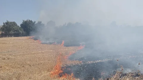 Bandırma'da Çalılık Yangını Kontrol Altına Alındı