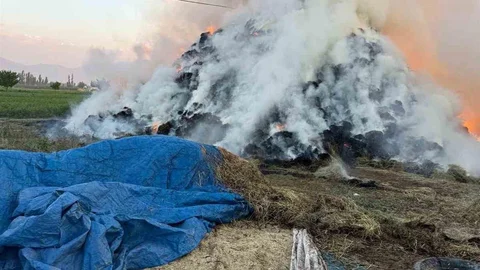 Iğdır’da Yangında 6 Bin Balya Ot Yandı
