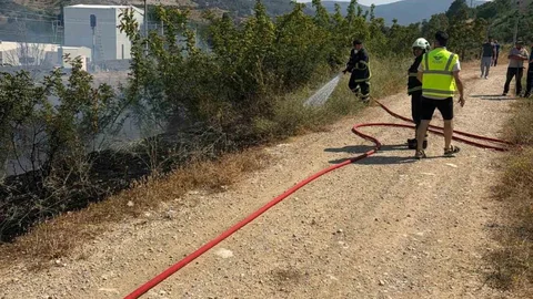 Bilecik'te Otluk Yangın Söndürüldü