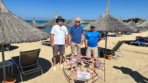Didim'de Caretta Caretta Yuva Yaptı