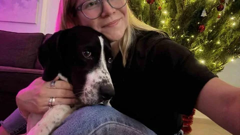 Antalya'da Kaybolan Köpek İçin Arama Çalışmaları