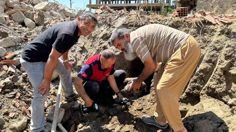 Çorum'da Mahsur Kalan Yavru Köpekler Kurtarıldı