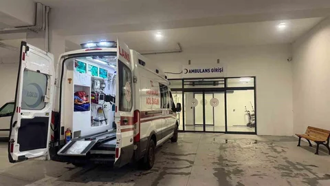 Zonguldak'ta Yılan Saldırısı