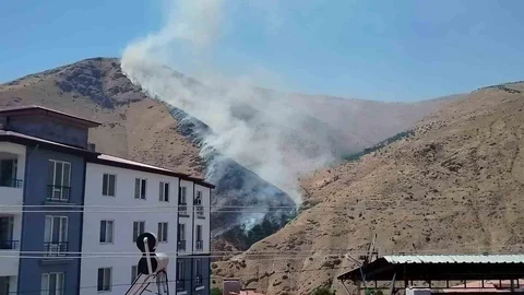 Elazığ'da Dağlık Alanda Yangın Çıktı