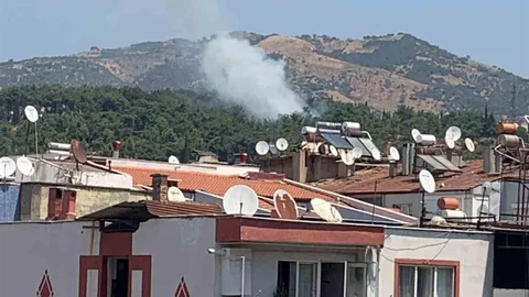 Aydın'da Mesire Alanında Yangın Kontrol Altına Alındı