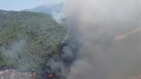 Kuyucak’ta Orman Yangını Çıktı