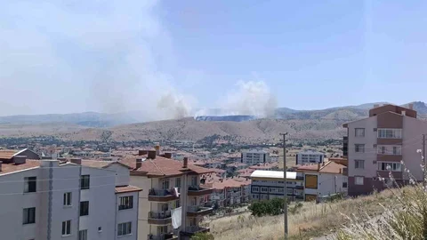 Afyonkarahisar'da Otluk Alanda Yangın