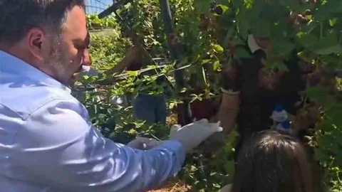 Siirt'te Özel Bireyler ve Çocuklar Buluştu
