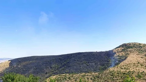 Afyonkarahisar'da Yangın Felaketi