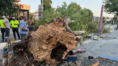 İstanbul'da Fırtına Hasara Yol Açtı