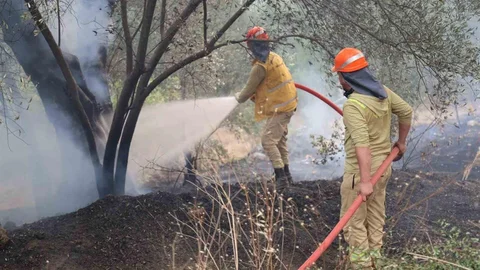 Fethiye'deki Orman Yangınında Enerji Düşürüldü