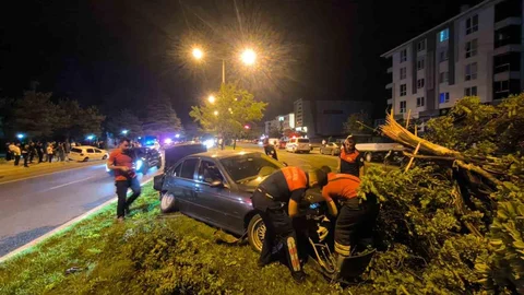 Erzincan'da İki Araç Çarpıştı