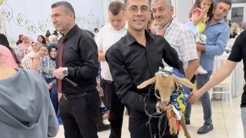 Eskişehir'de Düğün Hediyesi Kuzulu Sürpriz