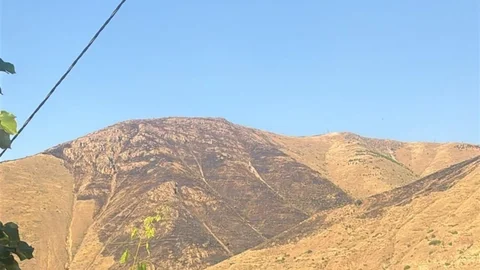 Elazığ'da Yangın Kontrol Altına Alındı