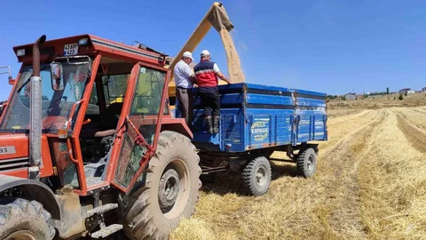 Kütahya'da Yerli Arpa Hasadı Yapıldı