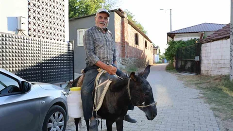 Aydın'da Eşekle Servis Yapan Ayhan Amca