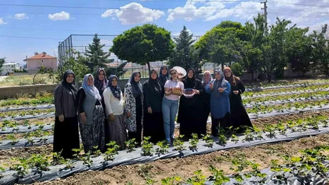 Afyonkarahisar'da İlk Çilek Hasadı Yapıldı